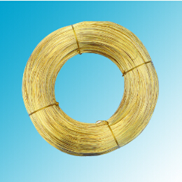 世界怎么了？黃銅圓線得多讀書多看報(bào)了